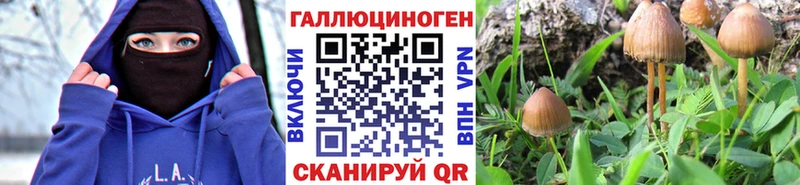 Псилоцибиновые грибы Magic Shrooms  Купить где  Сычёвка 